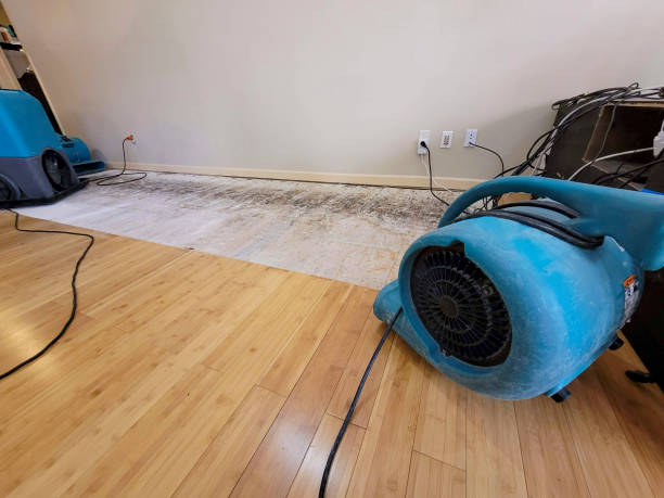 Professional Water Extraction technician working in Brownsville, MN